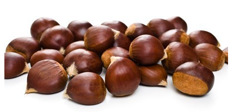 Italian Chestnut