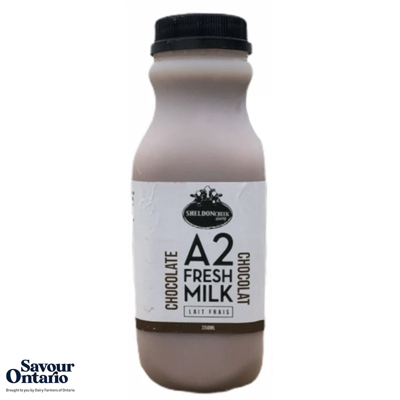 A2 Chocolate Milk - 350mL
