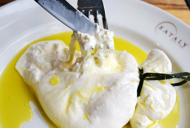 The World of Mozzarella