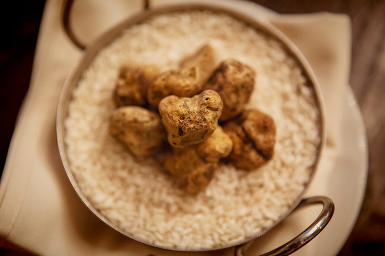 Truffle Day at Eataly Toronto