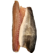 Branzino Fillet