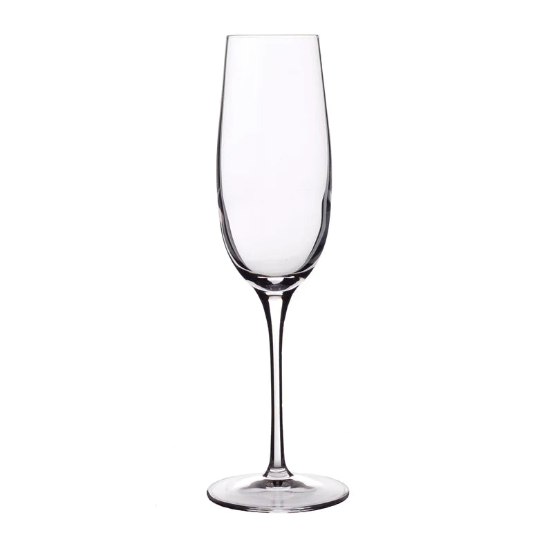 "Crescendo" Champagne Glasses, Set of 4
