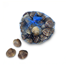 Pasta Clams - 2lb Bag
