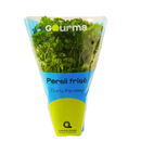 Potted Curly Parsley