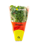 Potted Basil