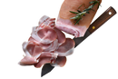 Lonza