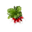 Breakfast Radish Bunch