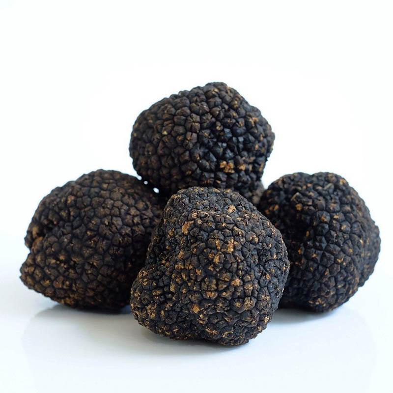 Winter Black Truffle - Medium