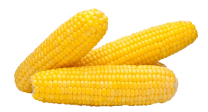 Corn