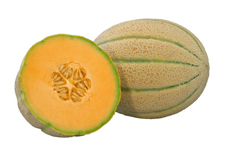 Tuscan Melon