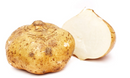 Russet Potato