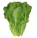 Local Baby Aragula - bunch