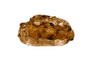 Rustic Raisin and Walnut