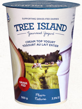 Tree Island 3.5% Cream Top Yogurt Plain
