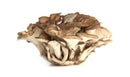 Maitake Mushroom