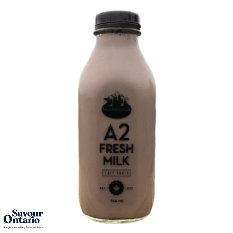 A2 Chocolate Milk - 1L Glass Bottle