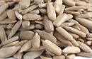 Sunflower Seeds - Roasted and Unsalted - 250g