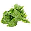 Basil - 40g Pack
