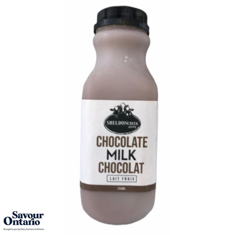 Chocolate Milk - 350ml