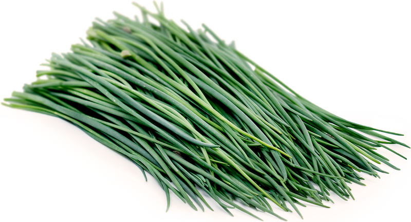 Chives - 40g Pack