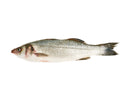 Whole Branzino