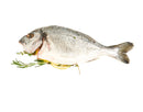 Oven-Ready Orata Whole Fish
