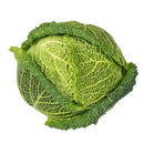 Savoy Cabbage
