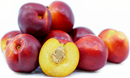 Nectarines