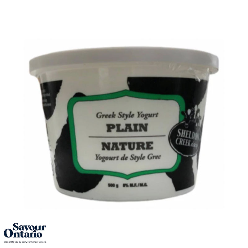 Plain Yogurt - 500 g