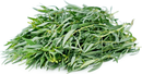 Tarragon