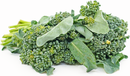 Broccolini