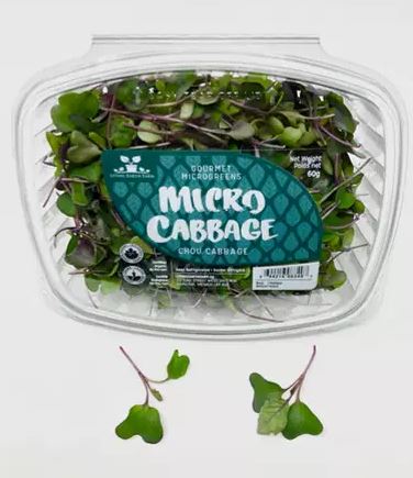 Living Earth Farm Micro Cabbage 60g