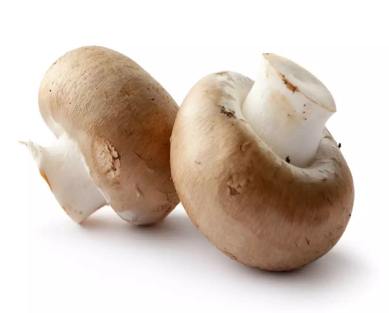 Organic Cremini Mushroom