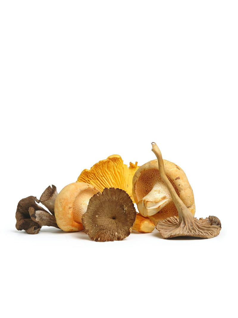 Chef Mix Mushroom