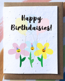 Happy Birthdaisies - Seedpaper Card (wildflowers) + Envelope
