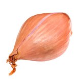 Shallot Onion