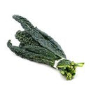 Lacinato Black Kale