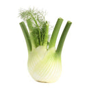 Fennel