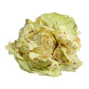 Castlefranco Radicchio