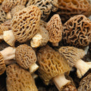 Morel Mushroom