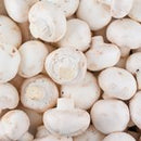 Organic White Mushroom