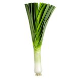 Leek