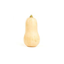 Butternut Squash