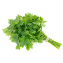 Italian Parsley