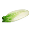 Belgian Endive