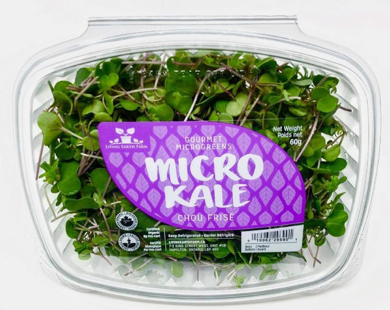 Living Earth Farm Micro Red Russian Kale - 60 g