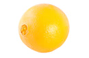 Navel Oranges