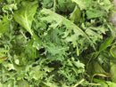 Baby Kale