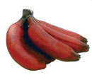 Red Bananas