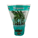 Living Rosemary Plant